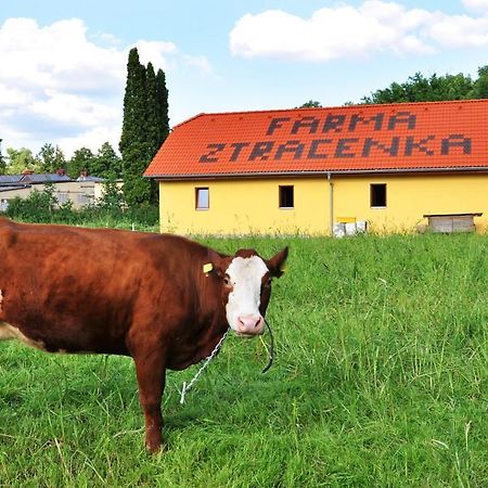 Farma Ztracenka Hotel Porici nad Sazavou Buitenkant foto
