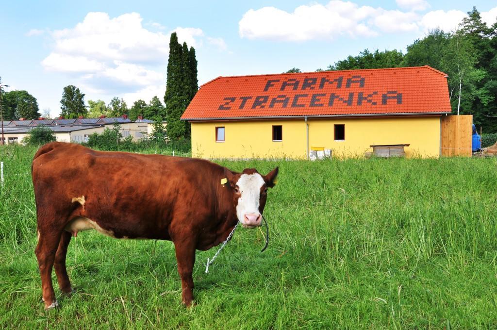 Farma Ztracenka Hotel Porici nad Sazavou Buitenkant foto