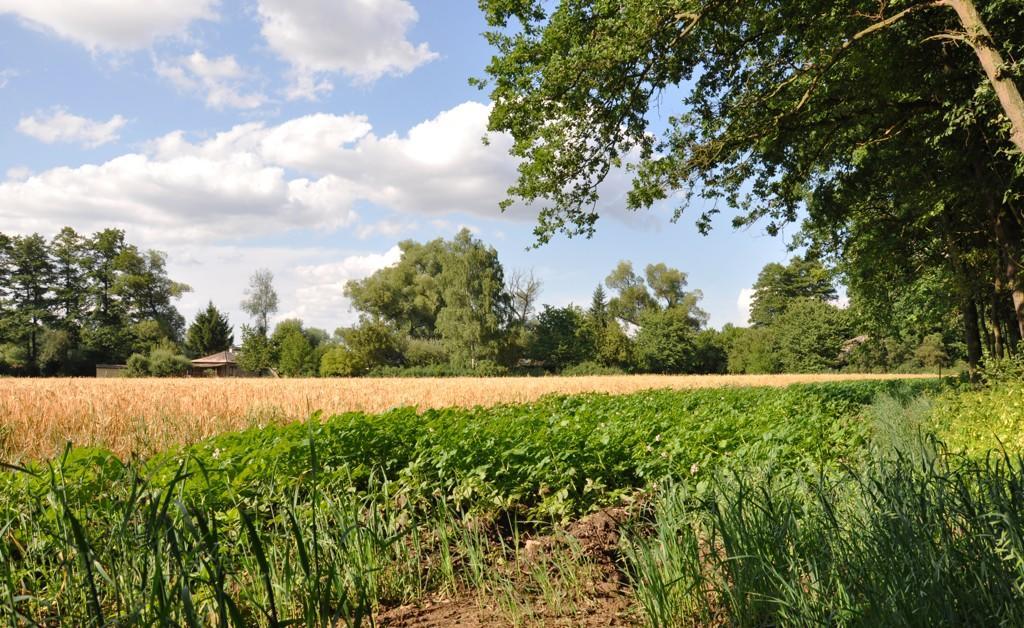 Farma Ztracenka Hotel Porici nad Sazavou Buitenkant foto