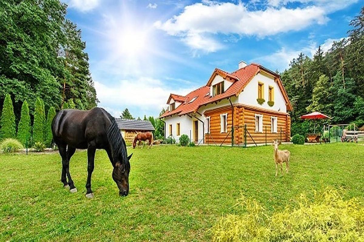 Farma Ztracenka Hotel Porici nad Sazavou Buitenkant foto